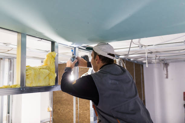 Best Eco-Friendly Insulation in Clinton, MI