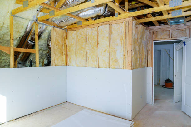 Best Geographic-Specific Insulation Services in Clinton, MI