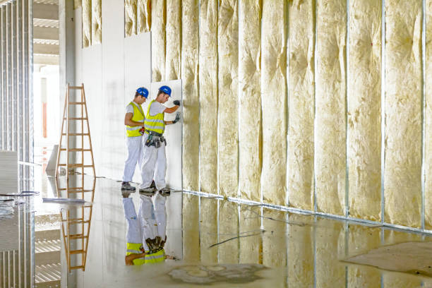 Best Energy Efficiency Insulation in Clinton, MI